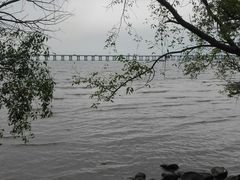 -宝安西湾红树林湿地公园