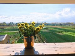 -翠田Green Field Kitchen