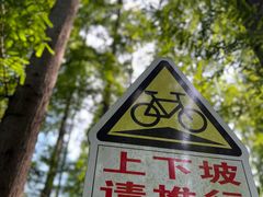 -东平国家森林公园