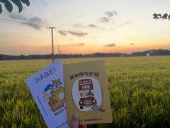 -嘉北郊野公园