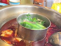 -金鼎雪山牦牛杂火锅(理县总店)