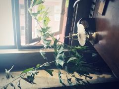 iphone_upload_pic-Soloist 独奏公司(798店)
