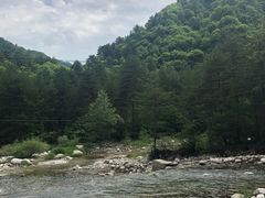 -黑河国家森林公园