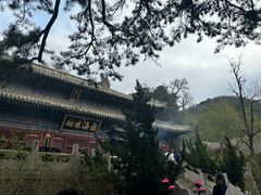 -潭柘寺景区