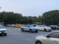 -上海市公安局交通警察总队车辆管理所三分所