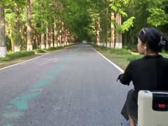 -黄海国家森林公园