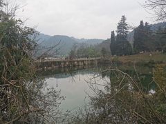 -黔灵山公园