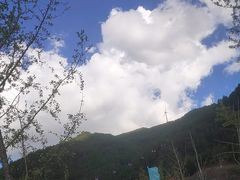 -龙里油画大草原旅游区