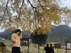 -广东茂名森林公园