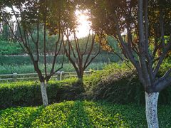 -保定东湖公园(莲池区)