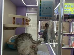 -南京时尚莱迪购物广场(正洪街店)
