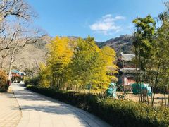 -青岛崂山太清宫