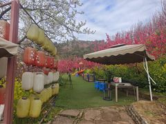 -桃源山庄·水蜜桃采摘·柴火鸡·烧烤团建(龙泉山店)