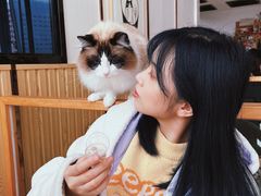 -Catmate·猫肥家润(金润铂宫店)