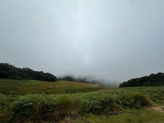 -霍顿平原国家公园