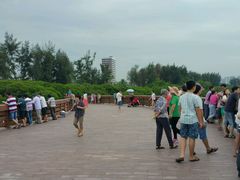 -宝安西湾红树林湿地公园