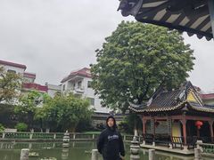 -碧江金楼