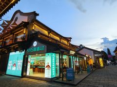 -云南民族村
