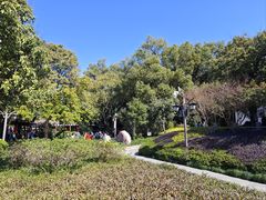 -西湖公园(鼓楼区)