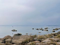 -苏州东太湖生态园