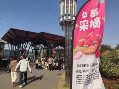 -上海长兴岛郊野公园