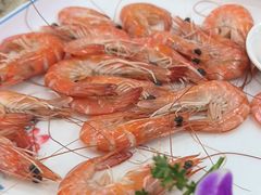 海虾-景好海鲜餐厅(大鹏必选旅游店)