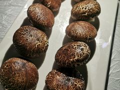 -胖大姐黄辣丁鱼庄(新津店)