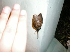 -龙环葡韵住宅式博物馆