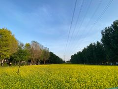 -长白岛森林公园