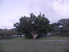 -美国纪念公园