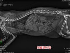 -爱诺耐芙动物医院(万博店)