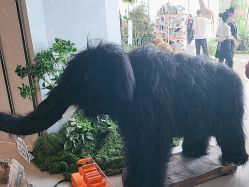 点击看大图 -IMON·HANSA潮玩玩偶毛绒玩具(通州万象汇店)