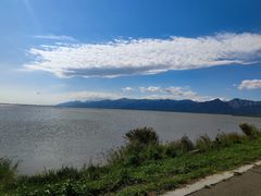 -哈素海