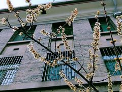 -山东师范大学(千佛山校区)