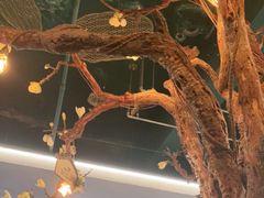 -梧桐树下(云锦世家店)