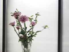 -SENSO 意大利餐厅(华山店)