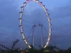 -新加坡摩天观景轮