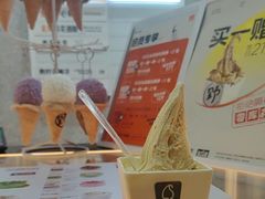 -野人先生现做冰淇淋(北京环宇荟店)