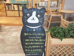 -猫的天空之城概念书店(印象城购物中心店)