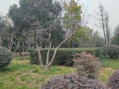 -木塔寺遗址生态公园
