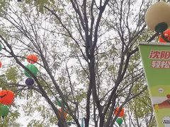 -沈阳方特欢乐世界