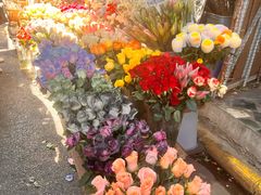 -循礼门鲜花花市(武汉循礼门店)