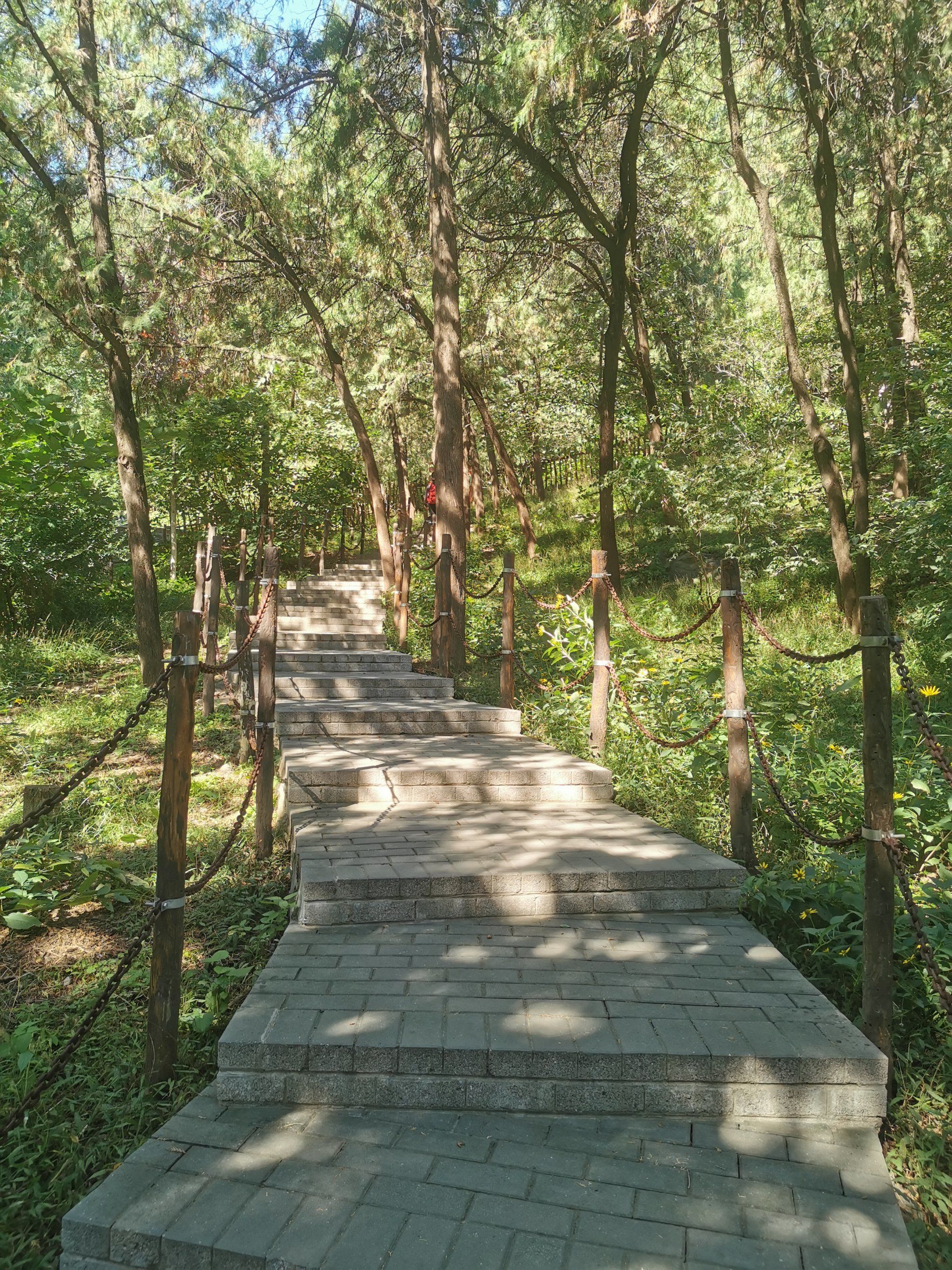 「百望山森林公园」带娃第一次爬山,选了个对孩子友好的百望山出游