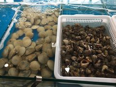-一号码头蒸汽海鲜自助
