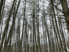 -硗碛藏寨·神木垒景区