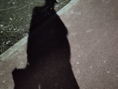 -丁香湖公园