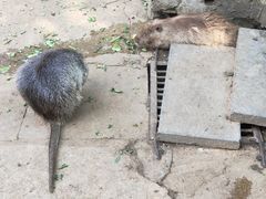-昆明动物园