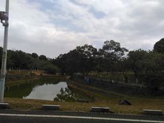 -松山湖梦幻百花洲