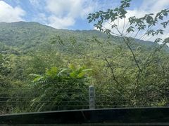 -海南热带雨林国家公园吊罗山景区