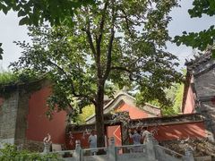 -潭柘寺景区